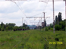 min 20 72.jpg